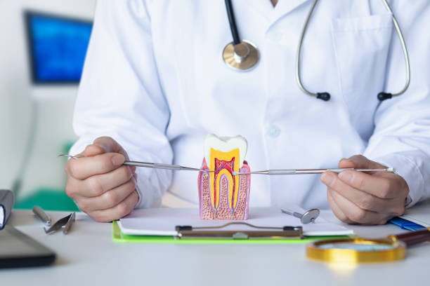 Best Emergency Root Canal Therapy in Harrison, WI